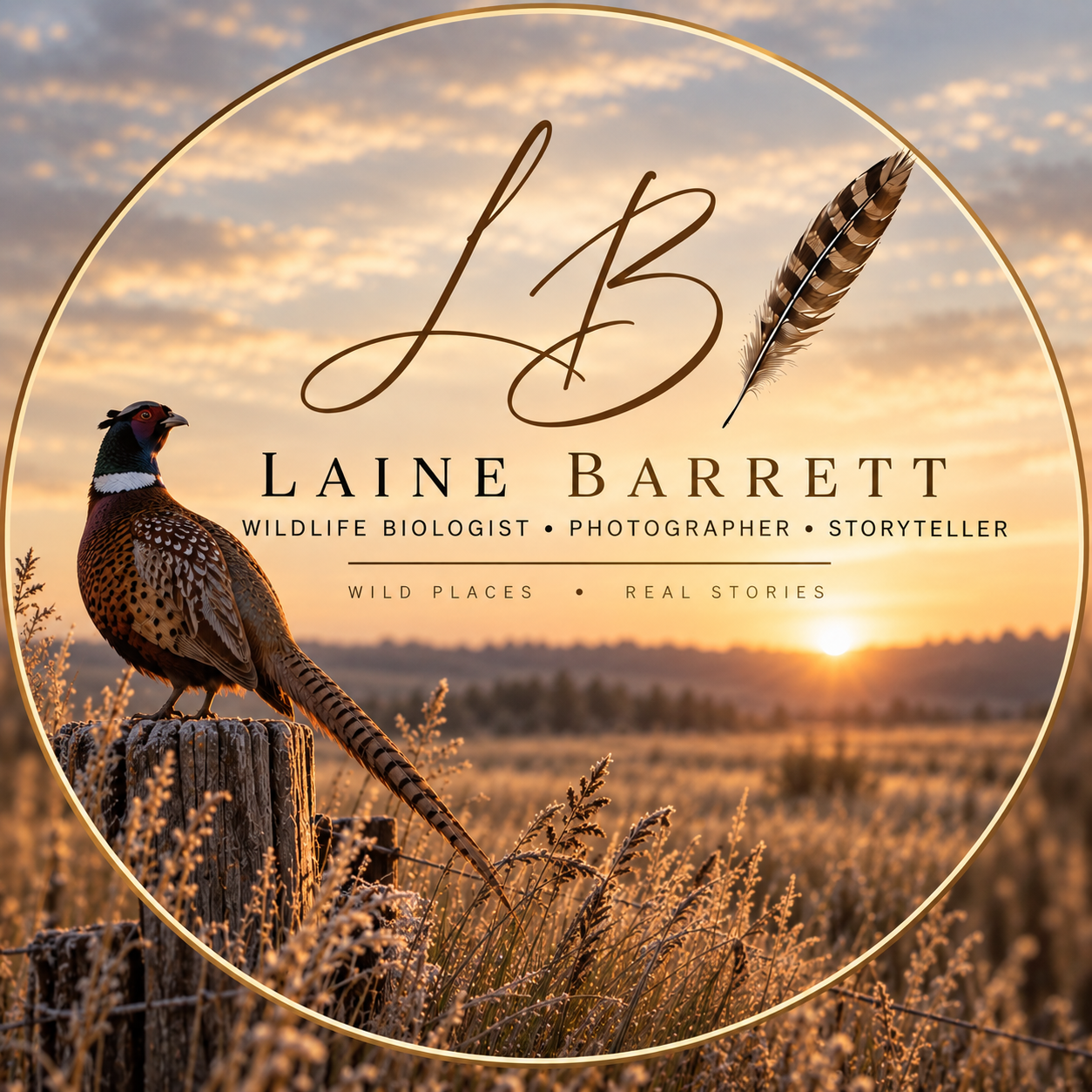 Laine Barrett